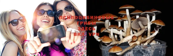 ешки Алзамай